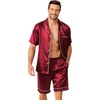 Ekouaer Mens Pajamas Set Silk Satin Pjs Short Sleeve Button Up Lounge Sets(Wine)