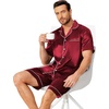 Ekouaer Mens Pajamas Set Silk Satin Pjs Short Sleeve Button Up Lounge Sets(Wine)